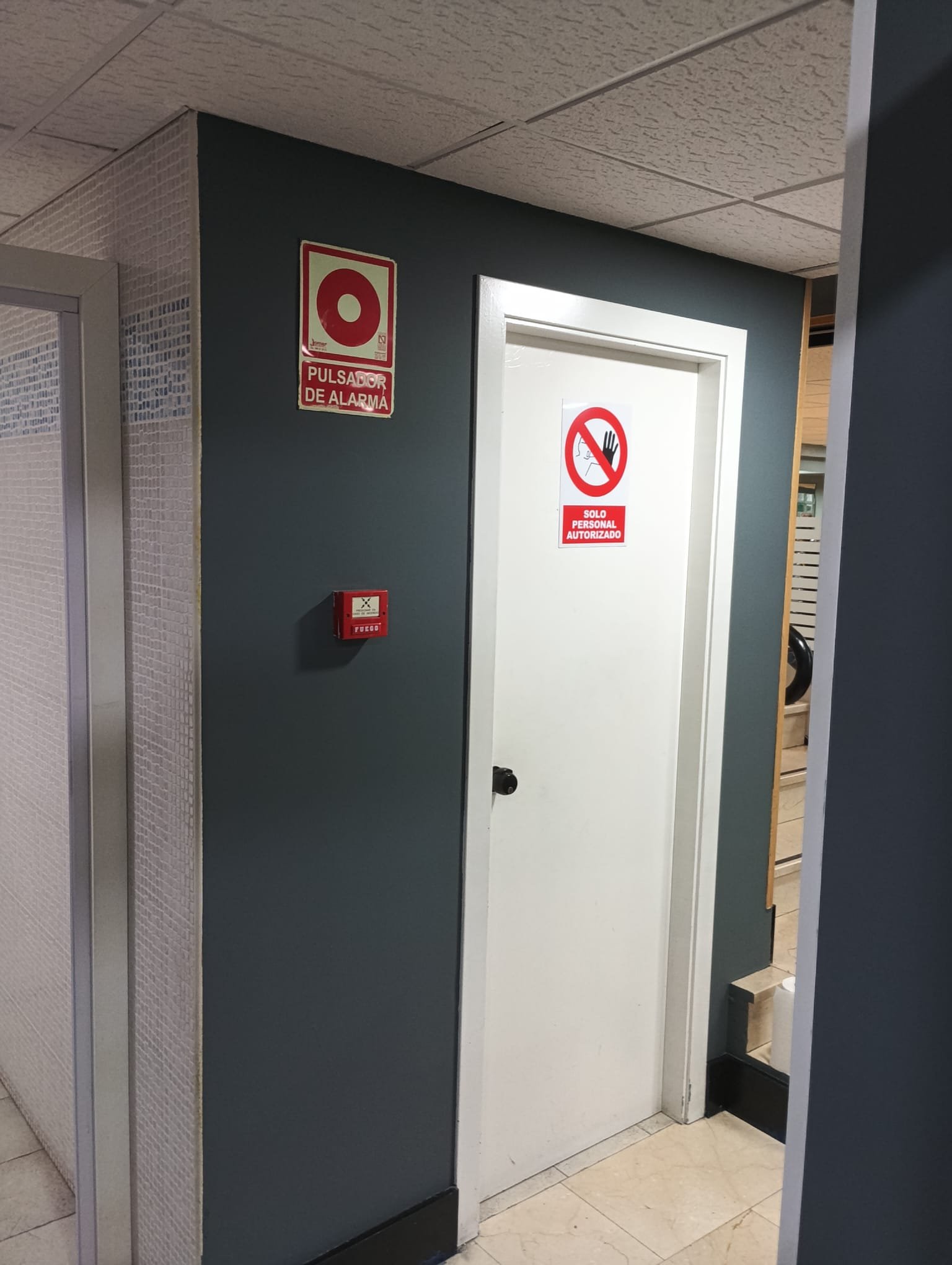 Pintar un gimnasio en Guadalajara: trabajo por zonas